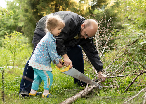 Father and child work together in the garden, cutting down dry tree branches with a hand saw. Household chores. Little daughter helps her dad in the garden