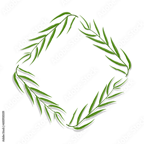 Willow tree frame with green leaves. Cartoon diamond shaped square border for greeting card decorating, invitation cards. Colored vector isolated on white background