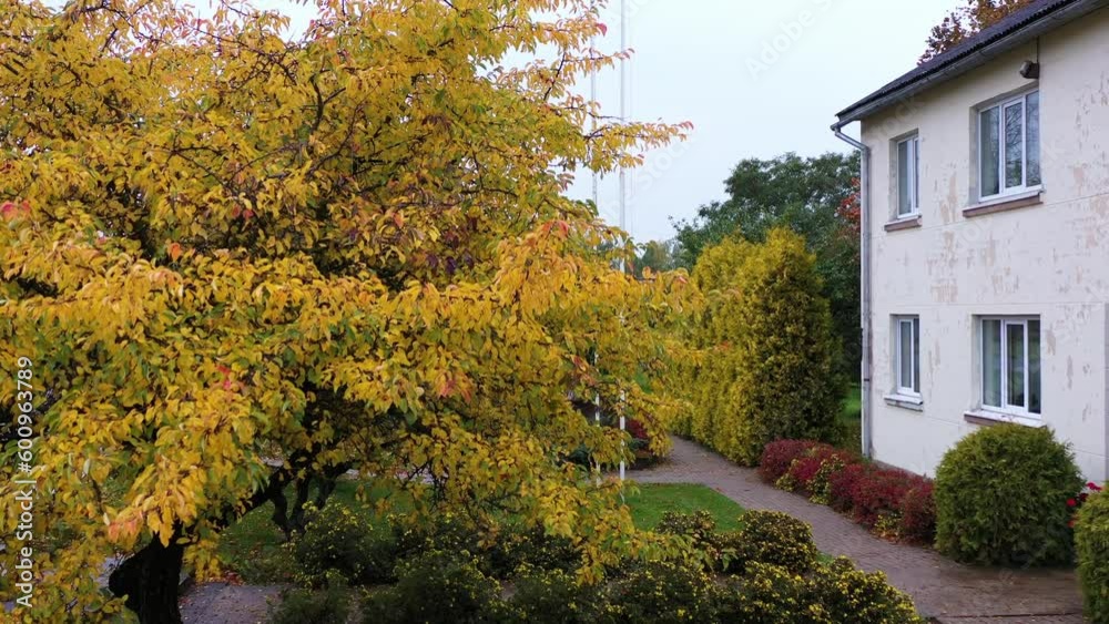 Private home with Latvia flag and golden autumn tree, aerial ascend view Private home with Latvia flag and golden autumn tree, aerial ascend view