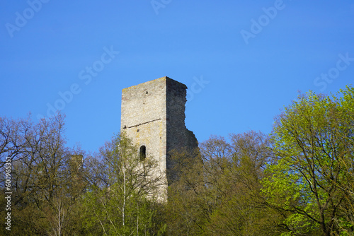 Blick auf die Kugelsburg in Volkmarsen in Hessen