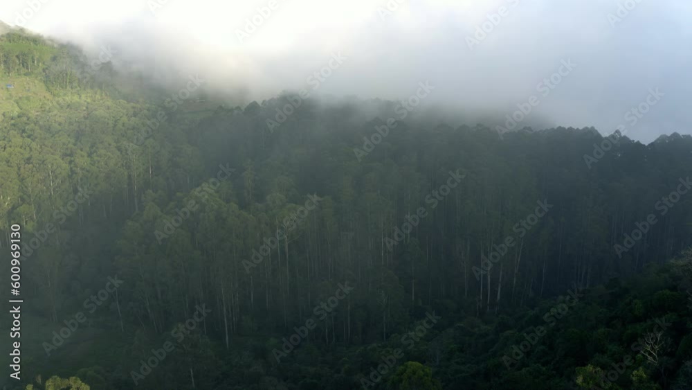 Aerial view low clouds moving over mountain forest, in Kodaikanal, India Aerial view low clouds moving over mountain forest, in Kodaikanal, India