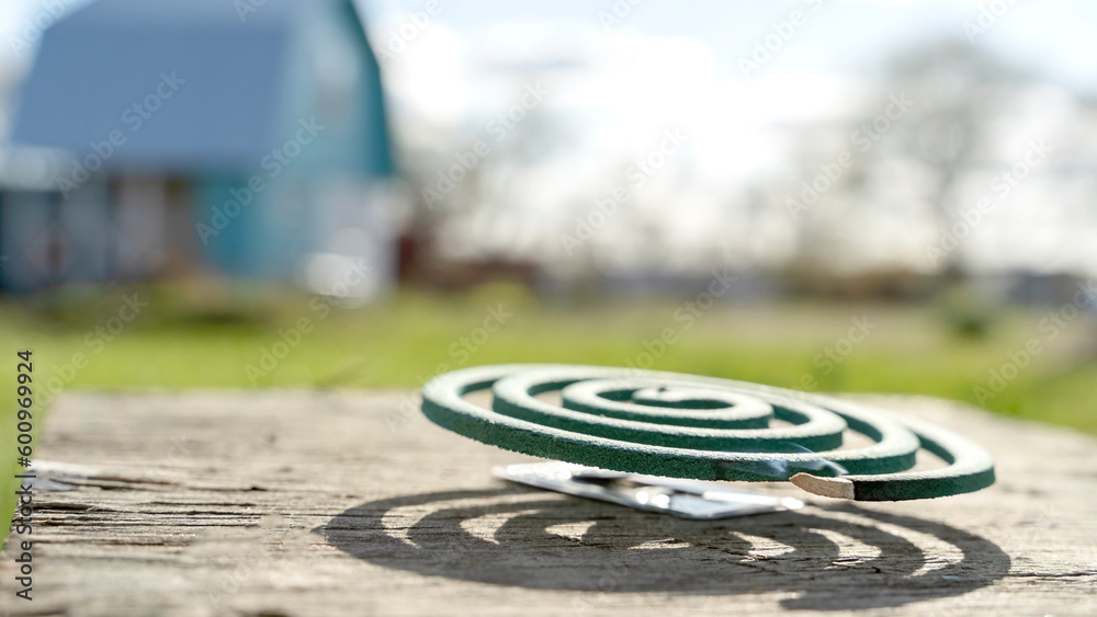 mosquito protection spiral in nature, the concept of insect protection mosquito protection spiral in nature, the concept of insect protection