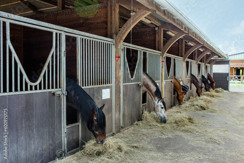 Stable with its horses eating hay in an equestrian center