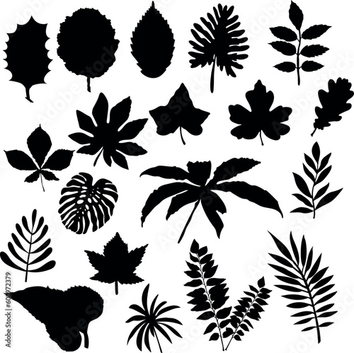 Plants and Leaves Silhouette Set