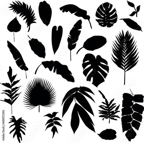 Plants and Leaves Silhouette Set