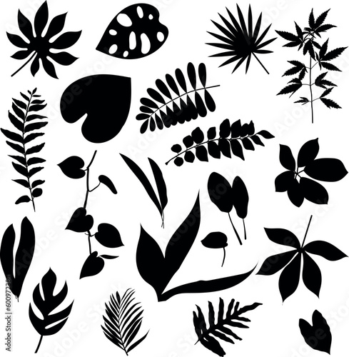 Plants and Leaves Silhouette Set