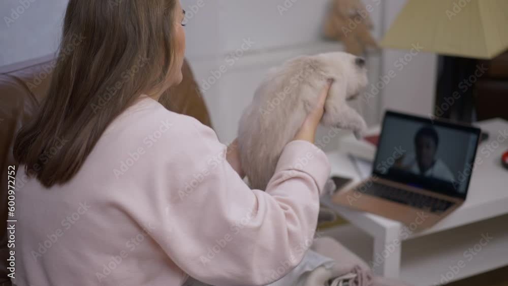 Young Caucasian woman showing cat to African American veterinarian consulting online talking in laptop screen. Worried anxious owner with ill pet at home indoors Young Caucasian woman showing cat to African American veterinarian consulting online talking in laptop screen. Worried anxious owner with ill pet at home indoors