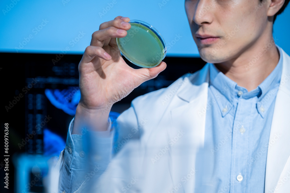 Fototapeta premium Close up of professional health care researcher working in a science laboratory, technology of medicinal chemistry lab 