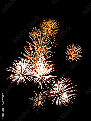 Multiple fireworks against the deep black sky. Bright  display of the fireworks