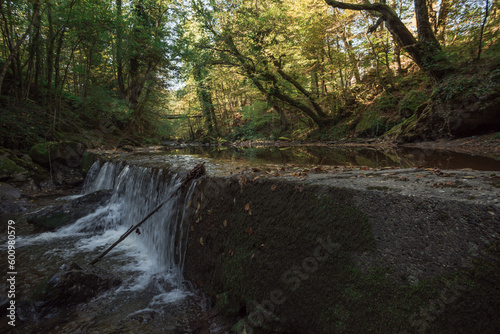 mountain stream in a dense dark forest