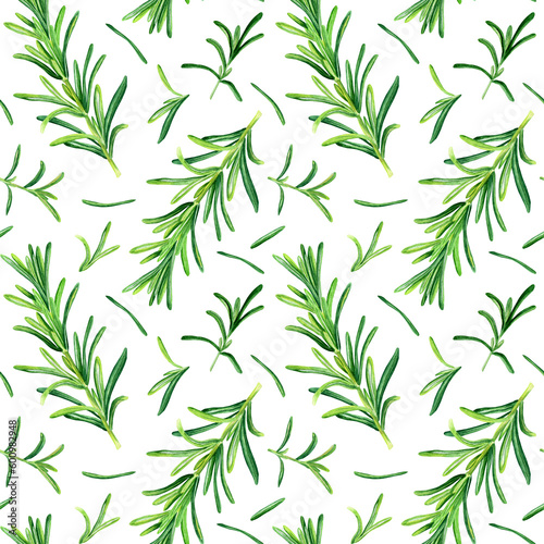 Watercolor seamless pattern with rosemary herb. Botanical illustration isolated on white for wrapping  wallpaper  fabric