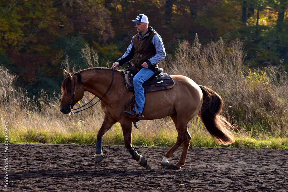 Westernreiten