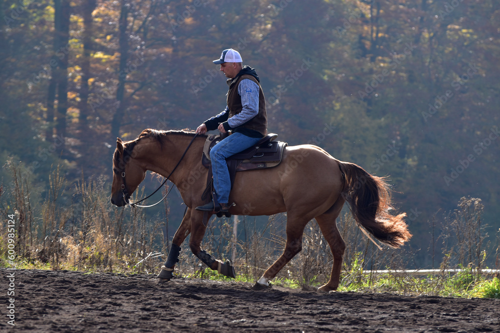 Westernreiten