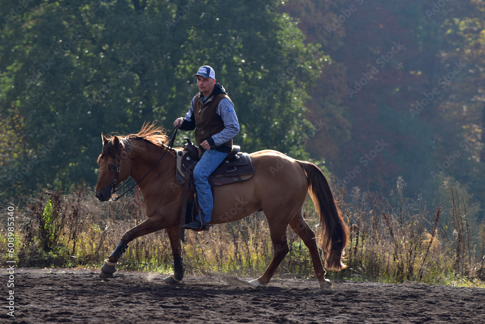 Westernreiten