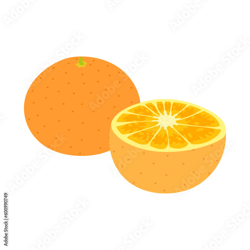 伊予柑。フラットなベクターイラスト。
Iyokan citrus. Flat designed vector illustration.