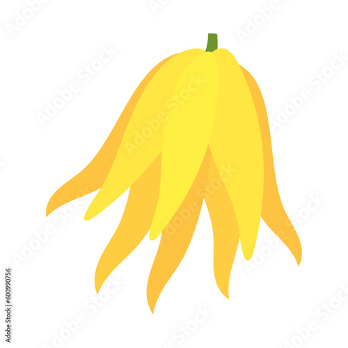 仏手柑。フラットなベクターイラスト。
Buddha's hand (fingered citron). Flat designed vector illustration.