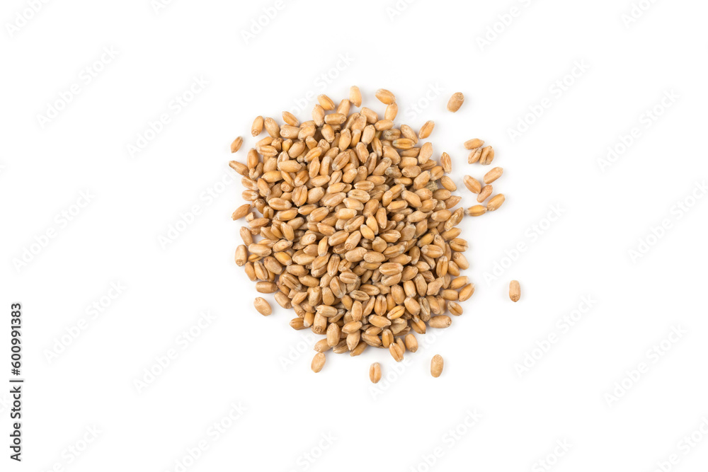 Wheat grain on white Wheat grain on white