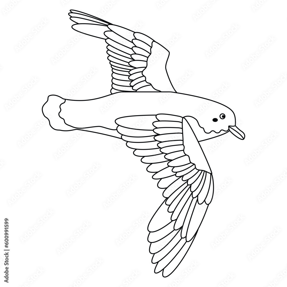 Fototapeta premium Cute, cartoon petrel bird. Line art.