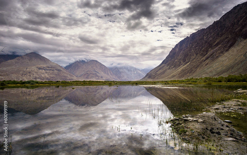 Landscape view of Leh city in falls,the town is located in the Indian Himalayas at an altitude of 3500 meters,North India.