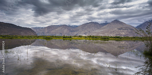 Landscape view of Leh city in falls,the town is located in the Indian Himalayas at an altitude of 3500 meters,North India.