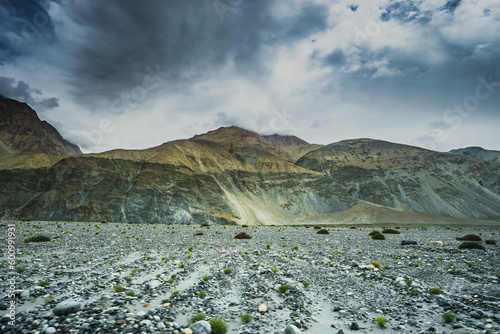 Landscape view of Leh city in falls,the town is located in the Indian Himalayas at an altitude of 3500 meters,North India.