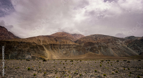 Landscape view of Leh city in falls,the town is located in the Indian Himalayas at an altitude of 3500 meters,North India.