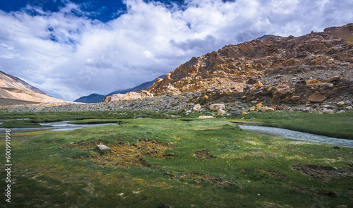 Landscape view of Leh city in falls,the town is located in the Indian Himalayas at an altitude of 3500 meters,North India.