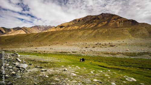 Landscape view of Leh city in falls,the town is located in the Indian Himalayas at an altitude of 3500 meters,North India.