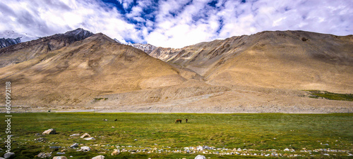 Landscape view of Leh city in falls,the town is located in the Indian Himalayas at an altitude of 3500 meters,North India.