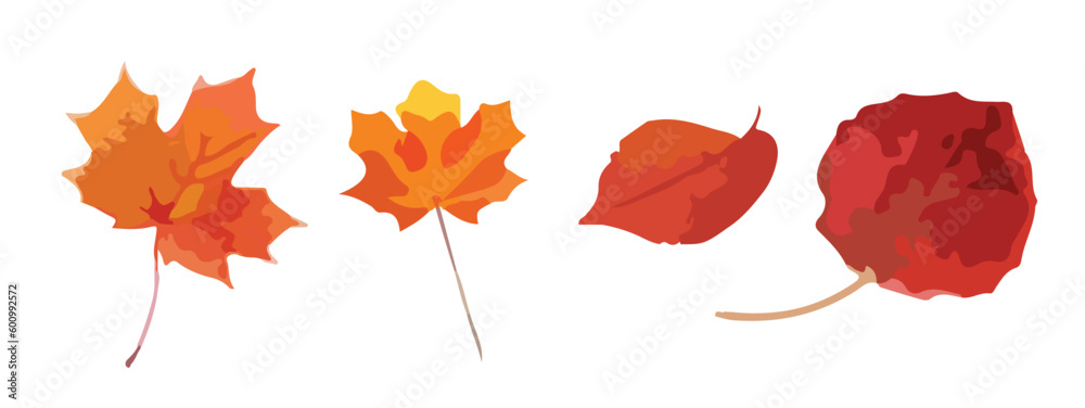 autumn leaves collection autumn leaves collection