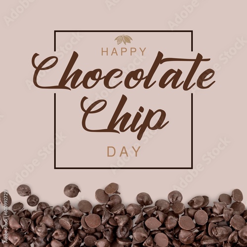 May 15 - National Chocolate Chip Day