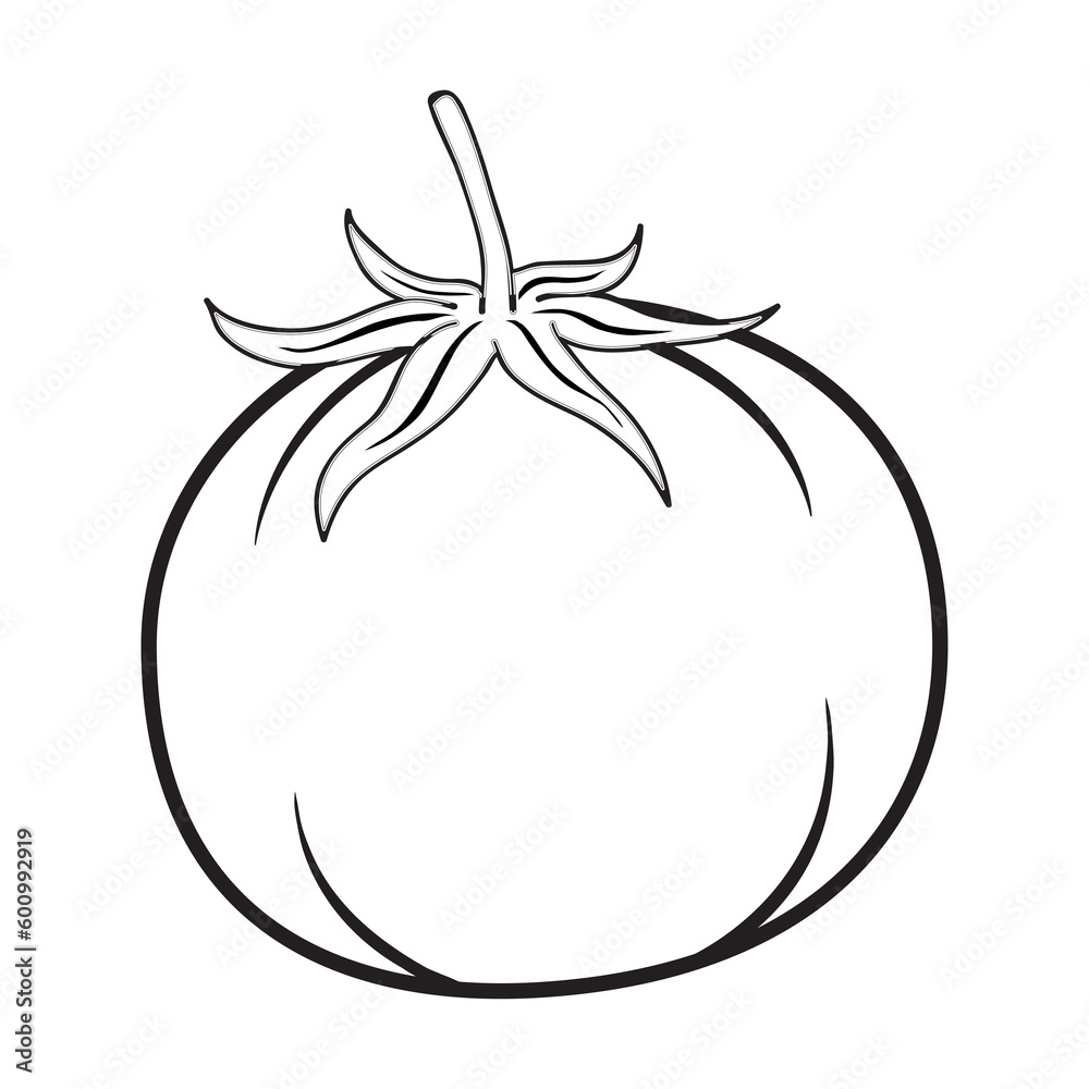 tomato outline vector illustration tomato outline vector illustration