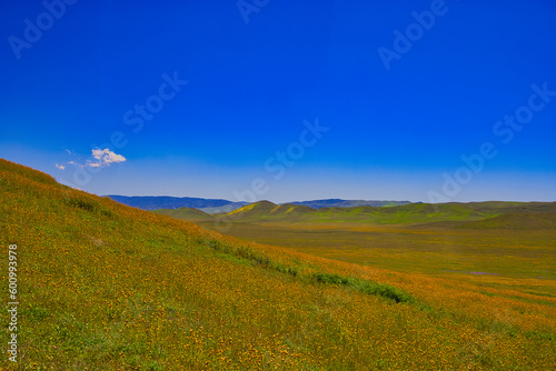 Exploring the Carrizo Plain super bloom and abandoned farms