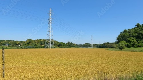 田園風景