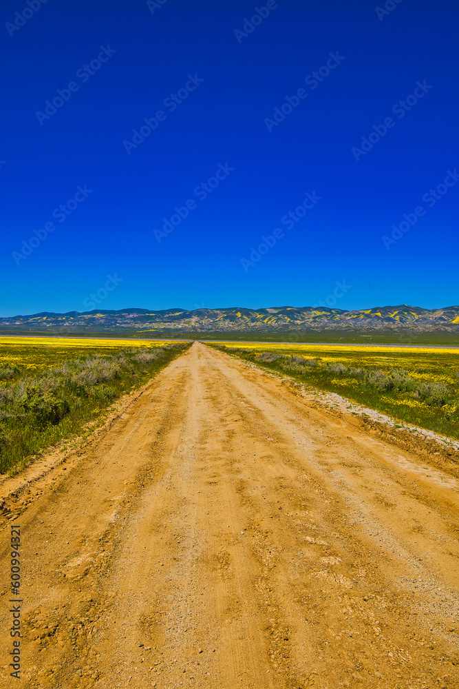 Exploring the Carrizo Plain super bloom and abandoned farms