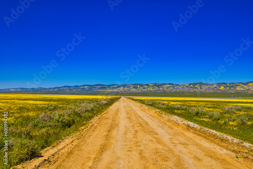 Exploring the Carrizo Plain super bloom and abandoned farms