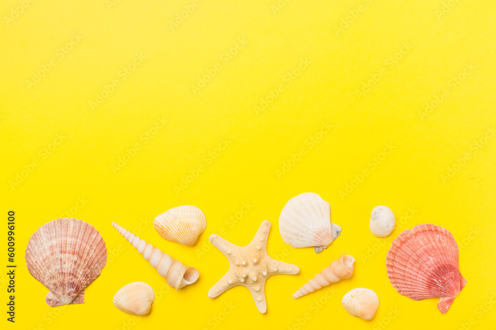 Fototapeta premium Sea shells on color background, top view