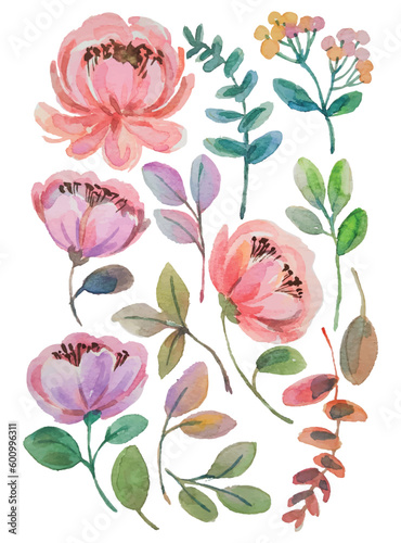 watercolor flower hand draw elements