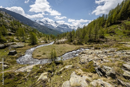River with mountains in the background and forest, Aosta Valley, Italy