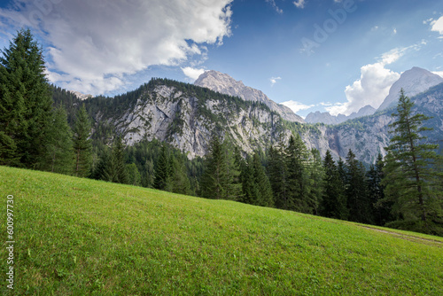 Meadows and forest of Norway spruce, Picea abies, in the Mieming Range, State of Tyrol, Austria