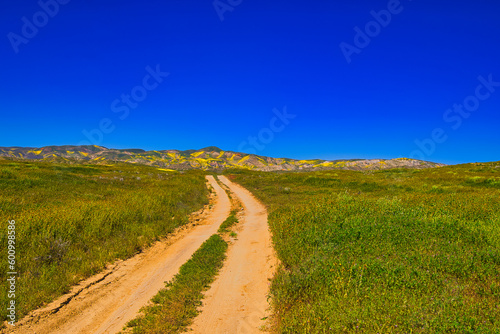 Exploring the Carrizo Plain super bloom and abandoned farms