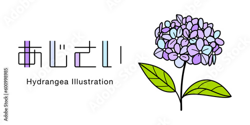 あじさいの花と葉、日本語ひらがなのデザイン文字のベクターアイコンイラスト素材