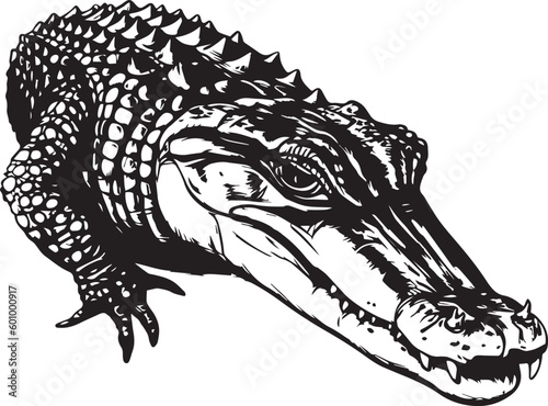 Crocodile head , crocodile silhouette vector Illustration, on a isolated background, SVG