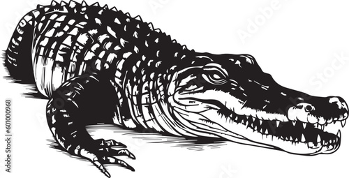 Crocodile head , crocodile silhouette vector Illustration, on a isolated background, SVG