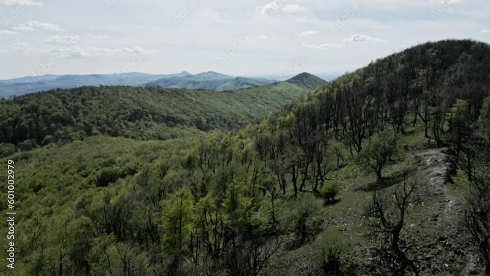 Forest and Hills in the spring sunshine - Drone video Forest and Hills in the spring sunshine - Drone video