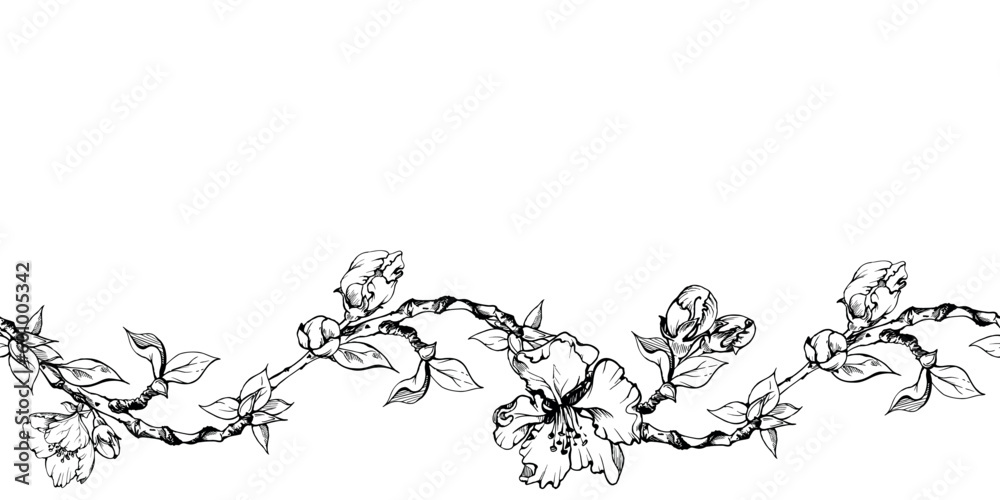 Fototapeta premium Hand drawn ink apple flowers, branches and leaves, monochrome vector, detailed outline Seamless horizontal banner Isolated on white background Design for wall art, wedding, print, fabric, cover, card.