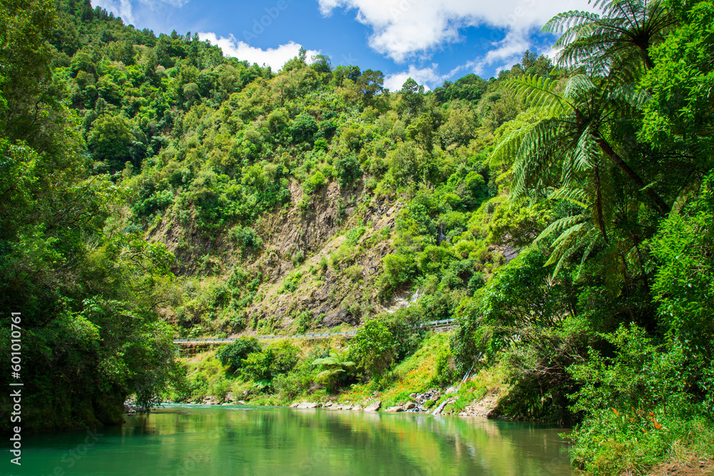 Calm green waters of mountain river flowing along a forested cliffs. Waioeka Gorge, North Island, New Zealand Calm green waters of mountain river flowing along a forested cliffs. Waioeka Gorge, North Island, New Zealand