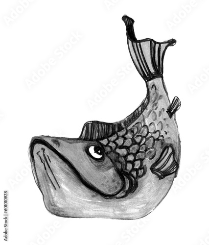 Watercolor silver carp (Hypophthalmichthys molitrix). Hand drawn fish illustration isolated on white background. photo