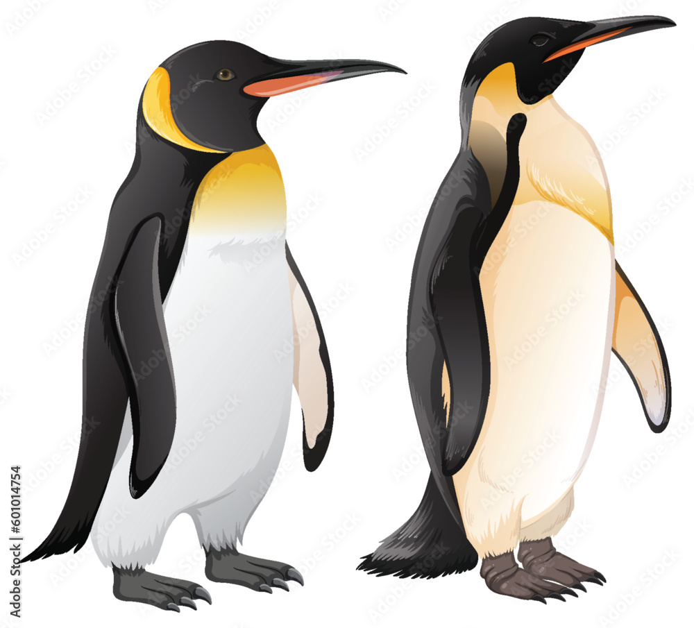 Fototapeta premium Set of penguins in different species