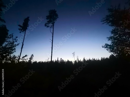 midsomer night